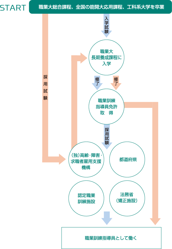 職業大からテクノインストラクターになるには