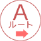 Aルート